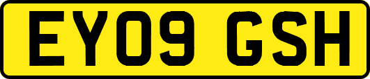 EY09GSH