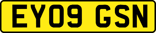 EY09GSN