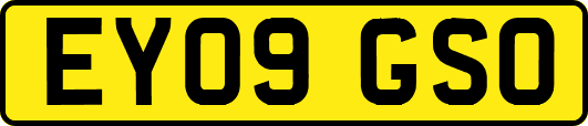 EY09GSO
