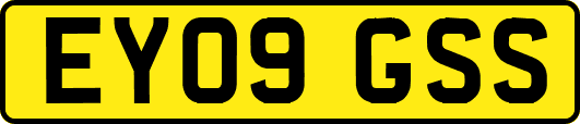 EY09GSS