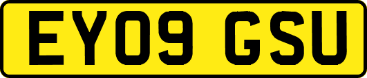 EY09GSU
