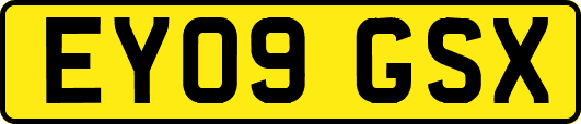 EY09GSX