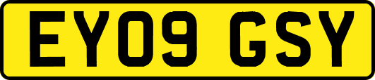 EY09GSY