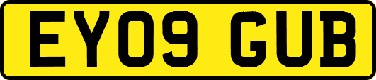 EY09GUB