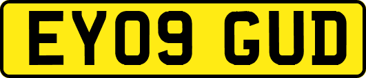 EY09GUD