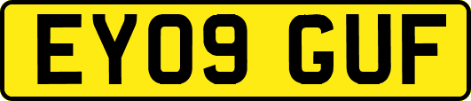 EY09GUF
