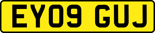EY09GUJ