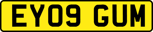 EY09GUM
