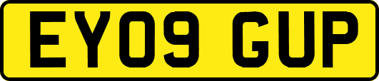 EY09GUP