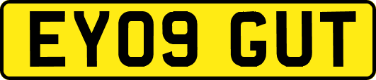 EY09GUT