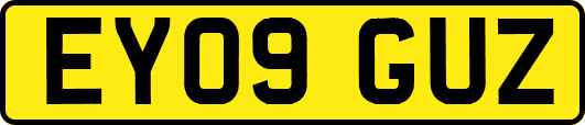 EY09GUZ