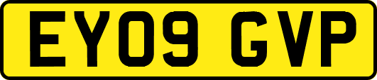 EY09GVP