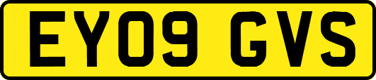 EY09GVS