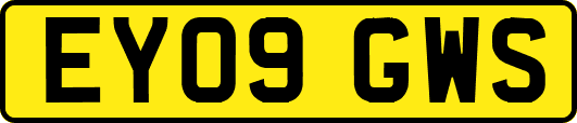 EY09GWS