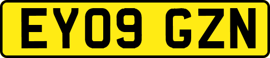 EY09GZN