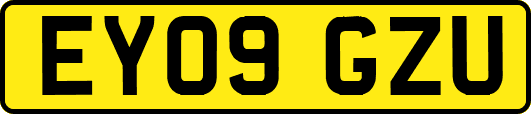 EY09GZU