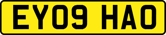 EY09HAO