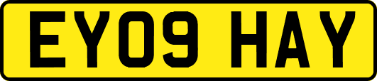 EY09HAY