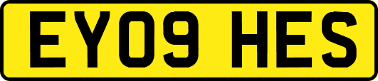 EY09HES