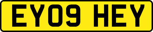 EY09HEY