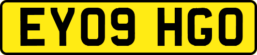 EY09HGO