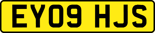 EY09HJS