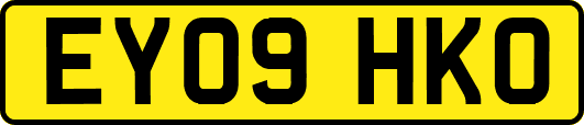 EY09HKO