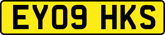EY09HKS