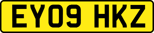 EY09HKZ