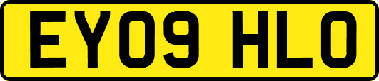 EY09HLO