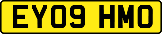 EY09HMO