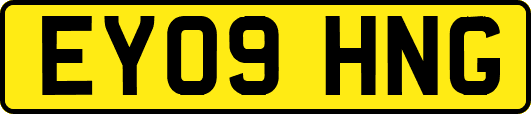 EY09HNG