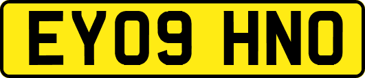 EY09HNO