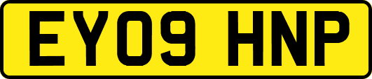 EY09HNP