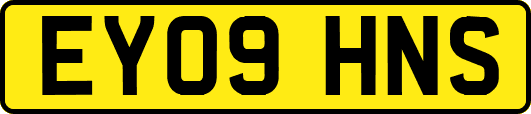 EY09HNS
