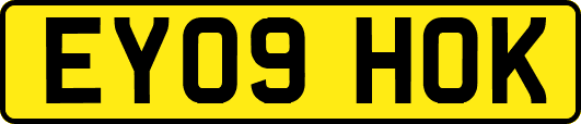 EY09HOK