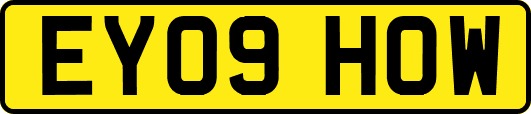 EY09HOW