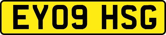 EY09HSG