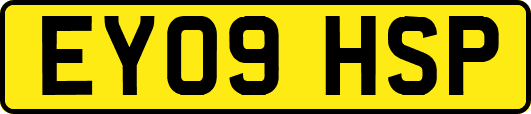 EY09HSP