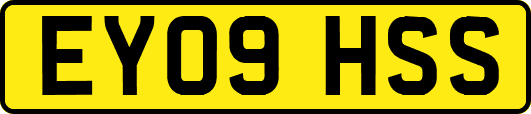 EY09HSS