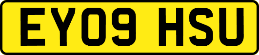 EY09HSU