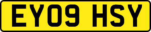 EY09HSY