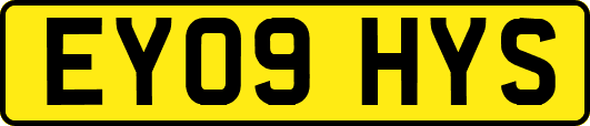 EY09HYS