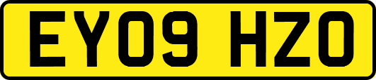EY09HZO