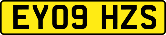 EY09HZS
