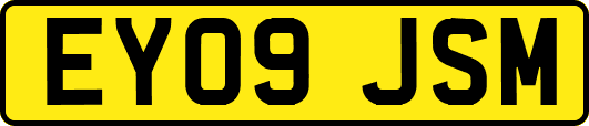 EY09JSM