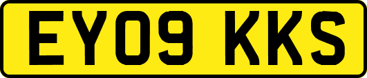 EY09KKS
