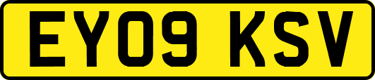 EY09KSV
