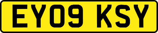 EY09KSY