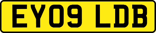 EY09LDB